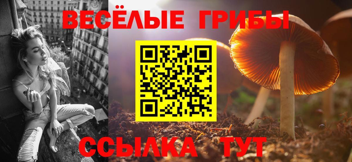 Галлюциногенные грибы Cubensis  Псилоцибиновые грибы мухоморы  купить   Кыштым  Вход с VPN 